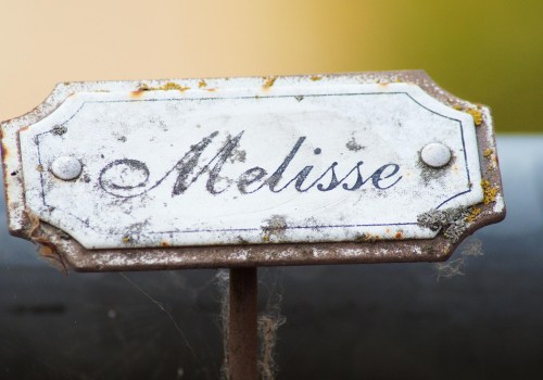 Unlock Business Success with Coaching and PCB Expertise